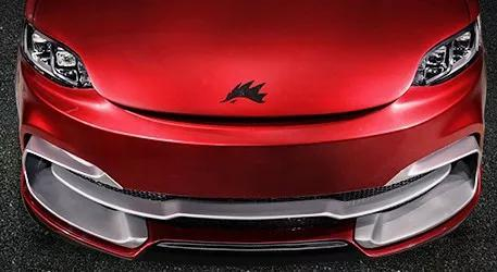 刺猬汽车的车标就是一只刺猬。/ 刺猬汽车官网