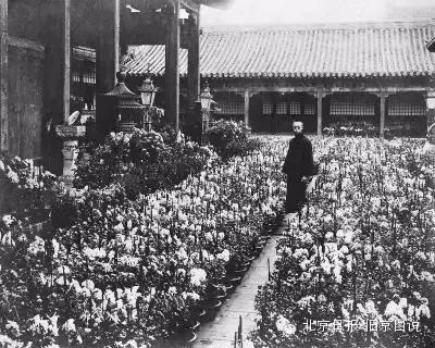  溥仪站在摆满鲜花的养心殿前，摄于1922年至1924年之间。