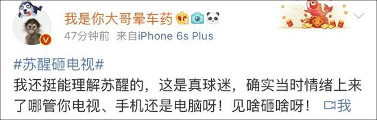 况且苏醒砸的是自己家的电视，无伤大雅；
