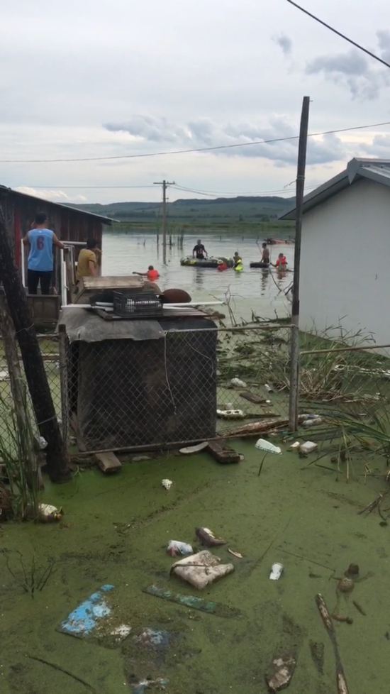  ▲8月17日，荣华村西边，民警和“水鬼”正在打捞村民赫明信的遗体。受访者供图