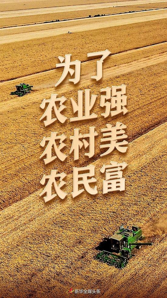 以习近平同志为核心的党中央引领推进新时代农业农村现代化事业述评_