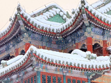 一场雪 颐和园美成了国画