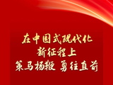 学习新语｜策马扬鞭 勇往直前