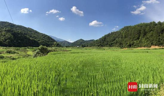 山砀镇