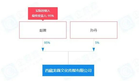  西藏龙薇文化传媒有限公司股权穿透图（图源：企查查）