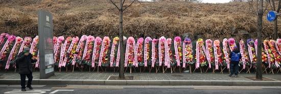 朴槿惠出狱前,粉丝送来500个花环