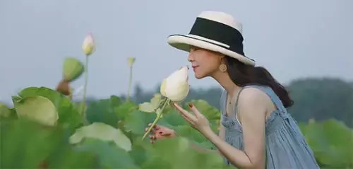 这也太美了吧