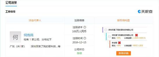 “故姐”背后公司的股权结构