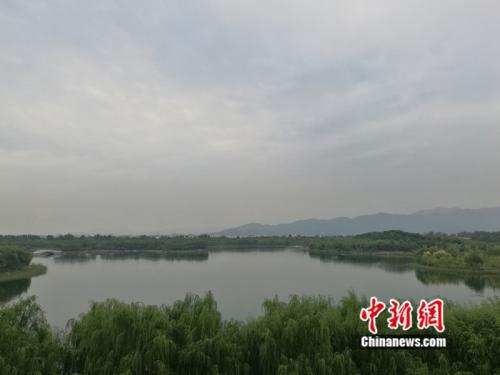 图为团城湖调节池，水质清澈。&nbsp;中新网&nbsp;张尼 摄