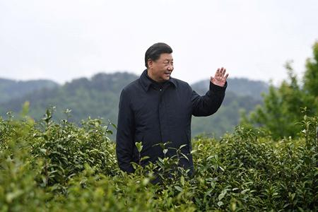 4月21日，习近平来到陕西省安康市平利县老县镇，在锦屏社区、镇卫生院、中心小学和茶园考察当地脱贫攻坚等情况。