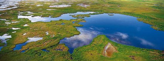  柴达木湿地 张纪元摄