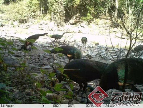 图片来源：自然之友微信公众号