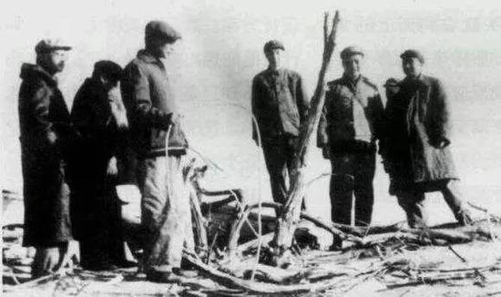 1967年邓稼先（右二）在新疆核试验厂区，地面为枯干千年的树木