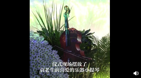 截图自：人民日报