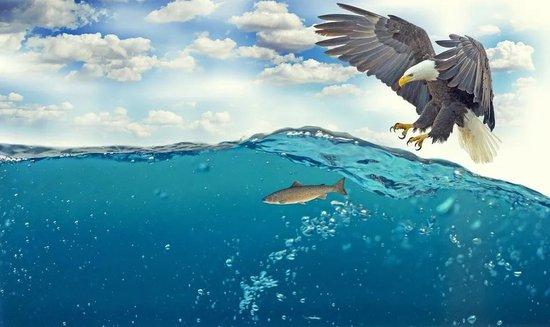 （图片开首：pixabay）