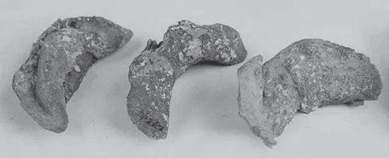  阿斯塔那古墓中发现的饺子。