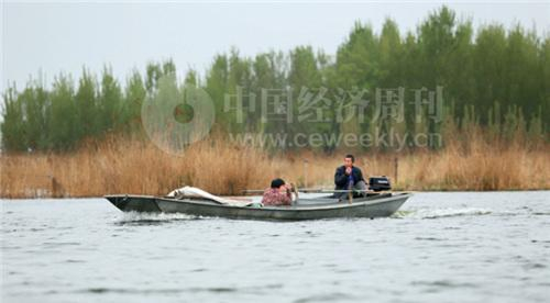 未来白洋淀将逐步恢复它“华北之肾”的功能。《中国经济周刊》摄影记者 胡巍 摄