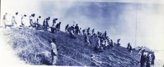 民工滚铁埽棒截流黄河（资料图）