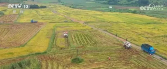 △广西旱改水项目（资料图）