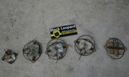  非法捕猎的捕兽夹。