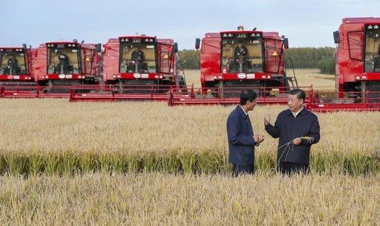 2018年9月25日下午，习近平在黑龙江农垦建三江管理局七星农场万亩大地号了解粮食生产和收获情况。新华社记者 谢环驰 摄