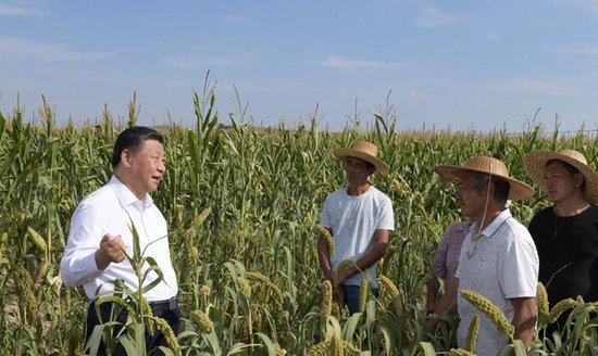 △2021年9月13日，习近平总书记在前往陕西米脂县高西沟村考察调研途中临时下车，察看粮食作物长势，同正在田间劳作的老乡拉家常。