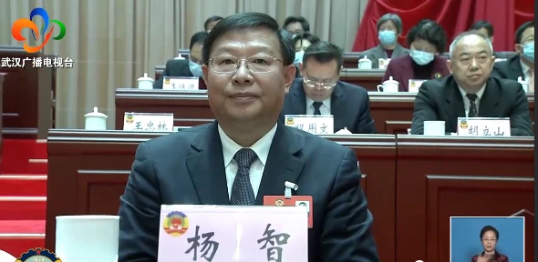  杨智（资料图）