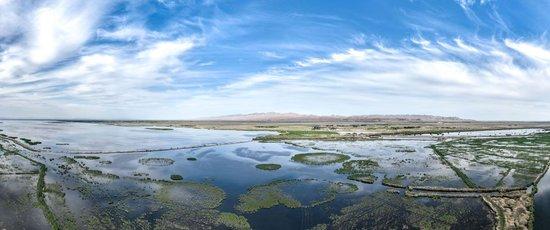 这是2023年6月4日拍摄的乌梁素海（无人机全景照片）。
