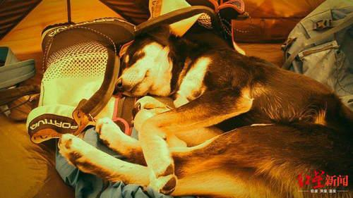 Mera渐渐成为这个团队的一份子 图据Don Wargowsky