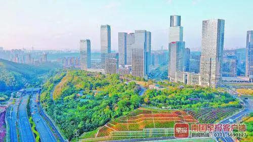 　▲五象总部基地休闲公园&nbsp; 南国早报客户端记者 苏华摄