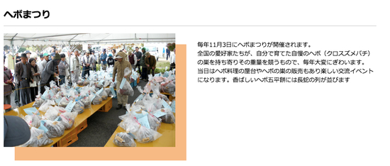  大黄蜂大会/惠那市观光协会网站