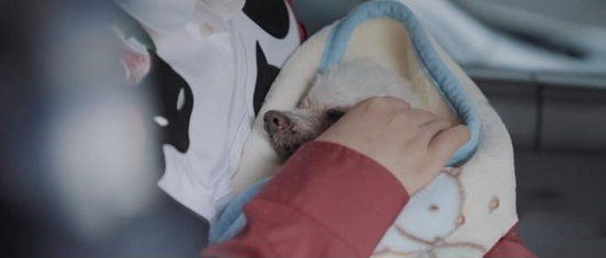 （图源：《奇遇·人间角落》节目视频）