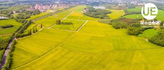 　图片来源：摄图网_500692244