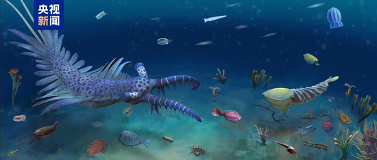 　△花垣生物群生态复原想象图