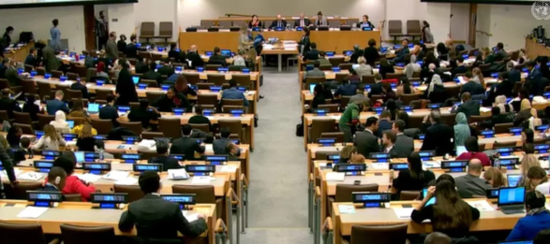 第三委员会 本文图源如无说明均来自联合国