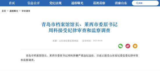 截图来源：山东省纪委监委网站