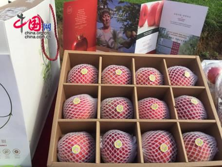 图为铜川海升千亩高标准矮化苹果示范园产品展示。