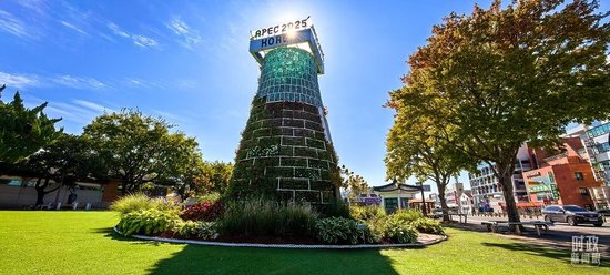 △庆州街头APEC主题花坛。(总台央视记者陈汉章拍摄)