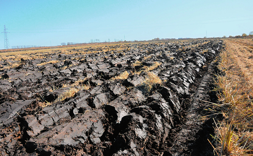 黑龙江勤得利农场秋收后深翻的黑土地（2020年10月12日摄）。王建摄 / 本刊
