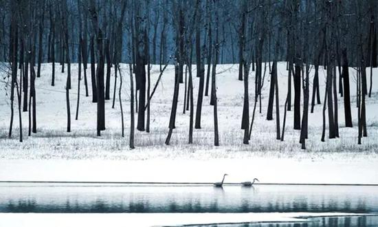 《黄河故道的冬》