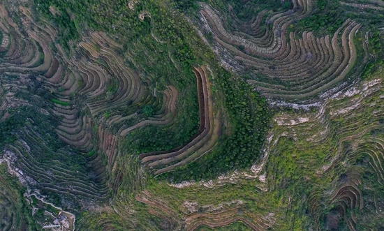 图为河北邯郸涉县王金庄梯田。（受访者供图）