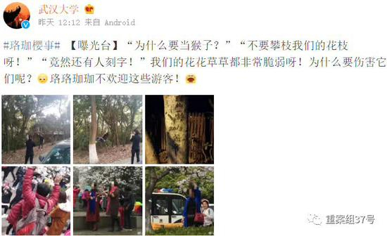 ▲3月16日，武大微博“曝光台”曝光不文明行为。&nbsp;&nbsp;&nbsp;&nbsp;图片来源/武汉大学官方微博