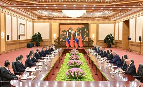 7月28日上午，国家主席习近平在北京人民大会堂同来华进行国事访问的斯洛伐克总统佩列格里尼举行会谈。新华社记者 殷博古 摄
