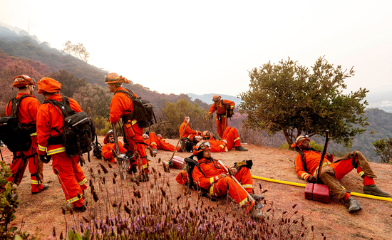 　　▲囚犯消防员正在进行灭火，受疫情影响，今年加州消防队部署的囚犯消防员人数大幅减少 图据《纽约时报》