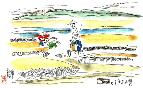 漫画《稻花香里说禾虫》 &nbsp;图源：视觉中国