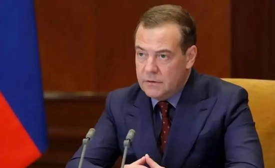  梅德韦杰夫图：资料