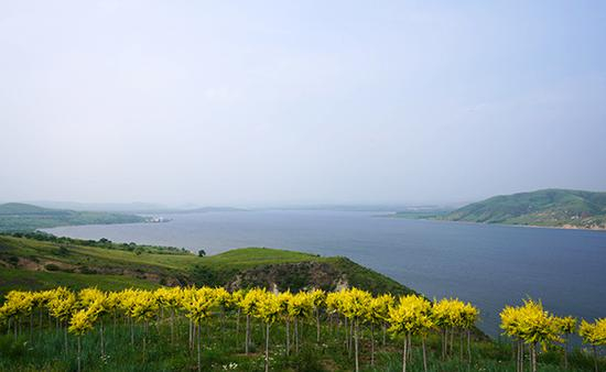 内蒙古自治区锡林郭勒盟多伦县多伦湖。中国网记者 董小迪 摄