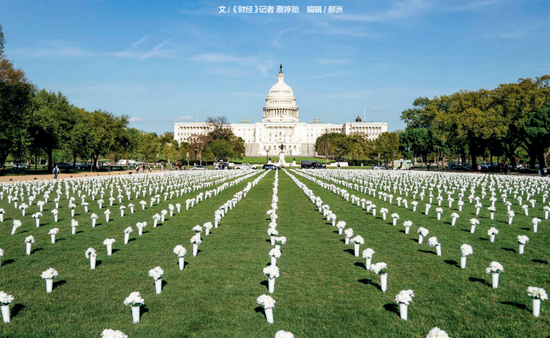 　　2021年4月13日，四万朵白色绢花被摆放在国会大厦与华盛顿纪念碑之间的国家广场草坪上，以纪念在全美枪击事件中丧生的人们。图/新华