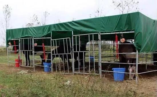 徐文俊团伙开办的马场