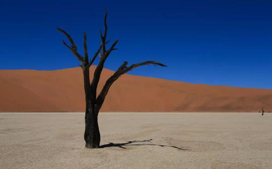 这是2013年9月22日在纳米比亚纳米布沙海拍摄的照片。新华社记者孟晨光摄&nbsp;